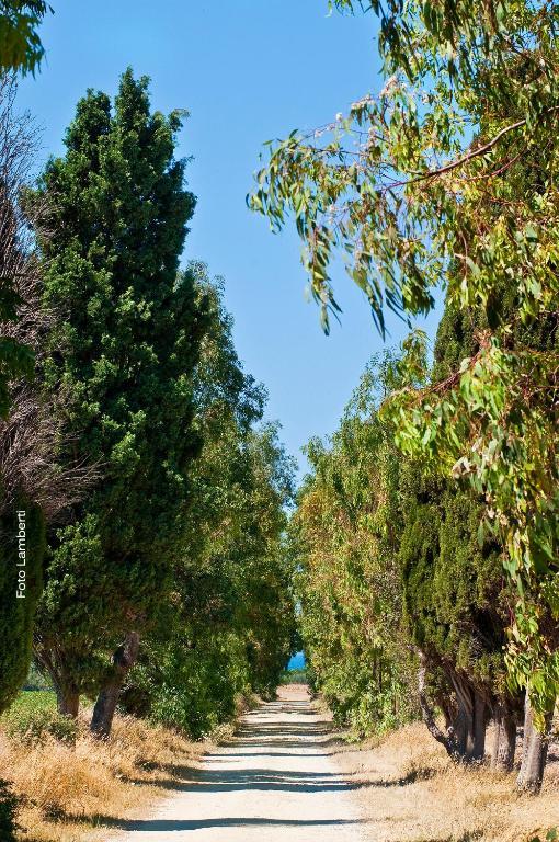 Podere Del Gesso Tarquinia Εξωτερικό φωτογραφία