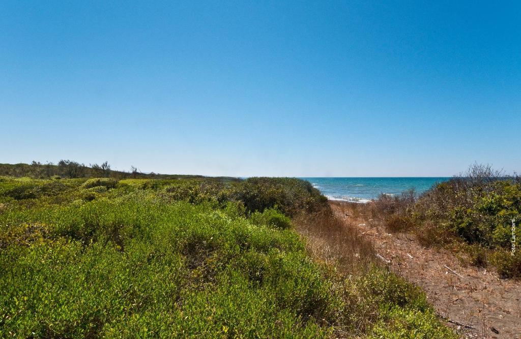 Podere Del Gesso Tarquinia Εξωτερικό φωτογραφία