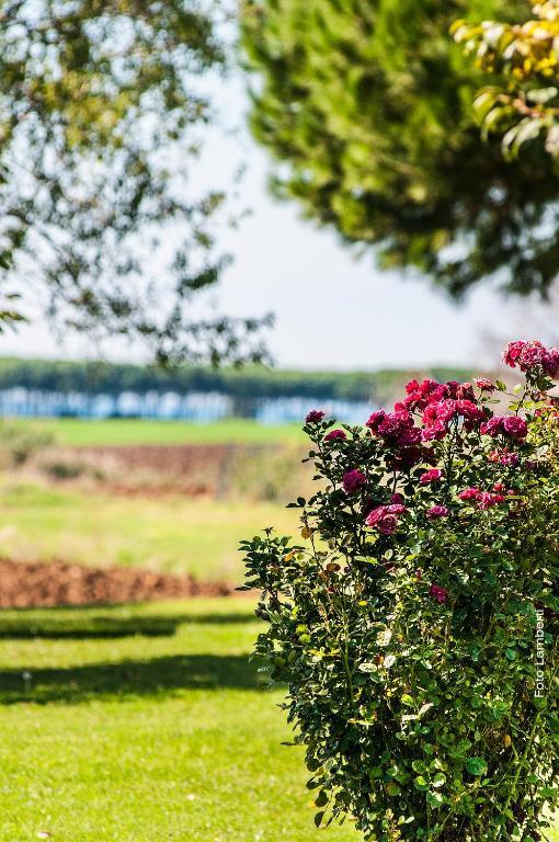 Podere Del Gesso Tarquinia Εξωτερικό φωτογραφία